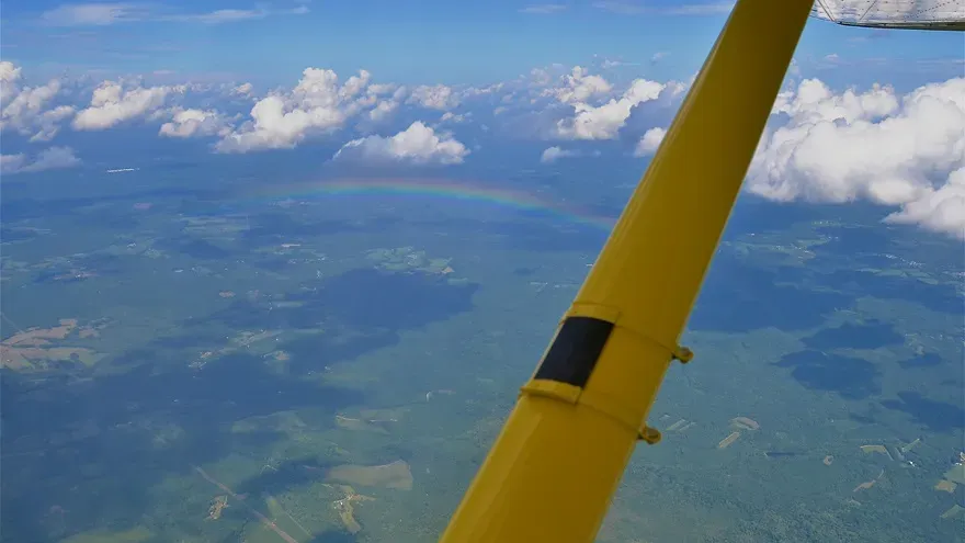 VFR flight over trees on a clear day